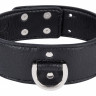 Ошейник черный black collar (М)